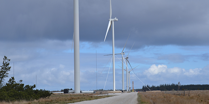 Picture of the wind turbines at DTU Risø Campus